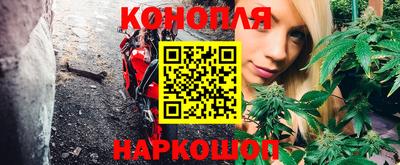 гидра Татарск