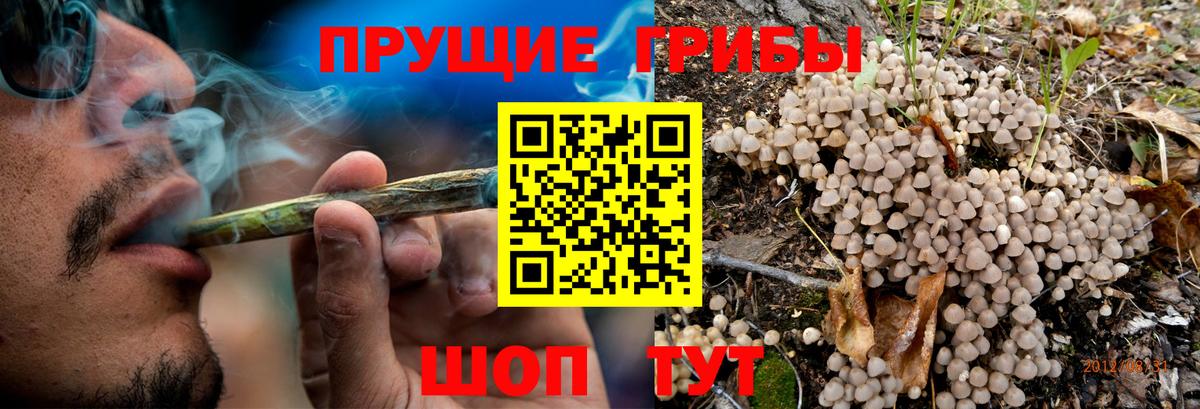 Псилоцибиновые грибы Cubensis  Вход с VPN  Узловая  Псилоцибиновые грибы Magic Shrooms 